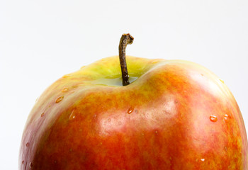 Pomme