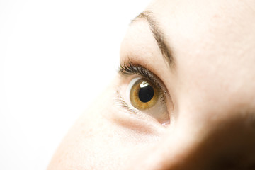 Fototapeta premium blick