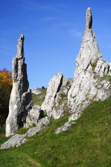 Steinerne Jungfrauen im Eselsburger Tal