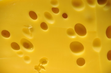cheese