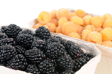 Blackberries and yellow raspberries isolated on white background