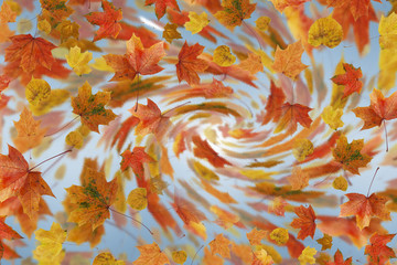 background od Autumn leaves