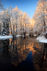 Foto auf Leinwand Winter river golden sunset © Romeo Koitmäe
