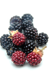 Moras