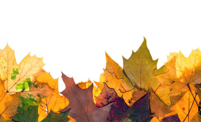 bunte Herbstblätter mit Textfreiraum oben