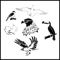 vector birds set