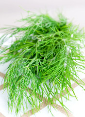 Closeup von frischem Dill