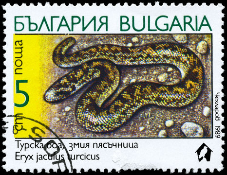 BULGARIA - CIRCA 1989 Eryx