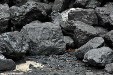 Coal
