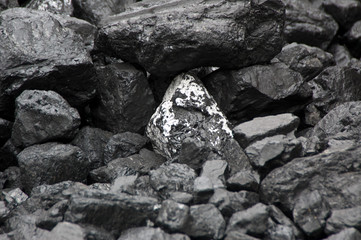 Coal
