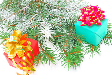 gifts on fur-tree branches