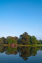 Fototapeta premium landscape