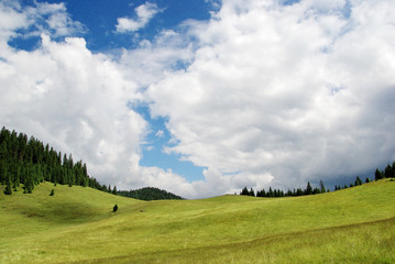 Beautiful alpine meadow with green grass