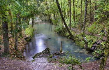 Fontibre