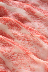 Top class Beef from Japan