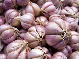 garlic macro