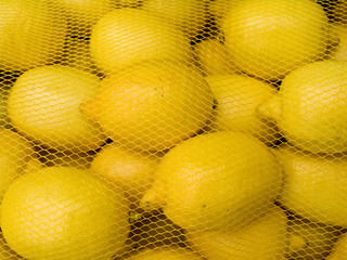 Lemons behind a grid © romvo