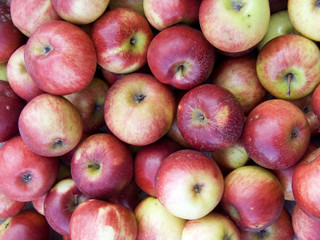 many red apples