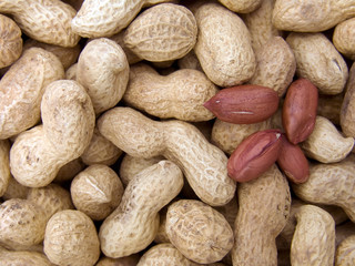 peanut