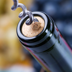 Wine Bottle closeup