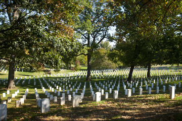 Fototapeta na wymiar Narodowy Cmentarz w Arlington