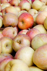 Pile of red and green apples