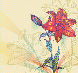 bright background with a single orange lily