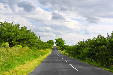 Fototapeta premium Empty road