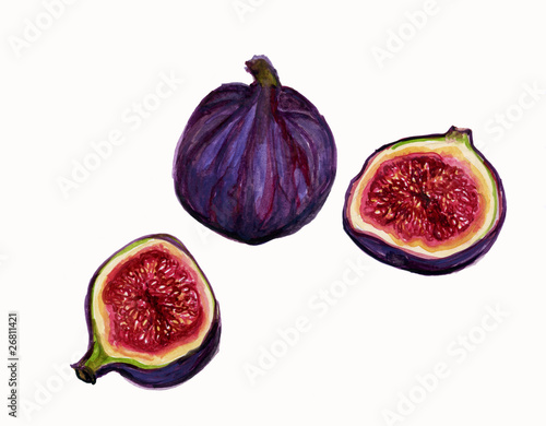 symbolism in ripe figs Know your figs kadota fig medium use ripe figs as soon as possible or store in refrigerator for up to 3 days the fig tree is the symbol of abundance. symbolism in ripe figs Know your figs kadota fig medium use ripe figs as soon as possible or store in refrigerator for up to 3 days the fig tree is the symbol of abundance.