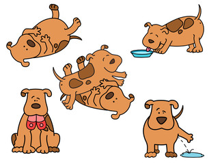 Vector illustration of cartoon dogs are pampered