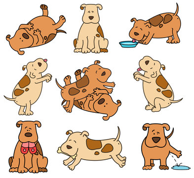 Vector illustration of cartoon dogs are pampered