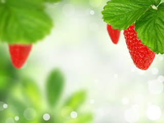 Green background with strawberries