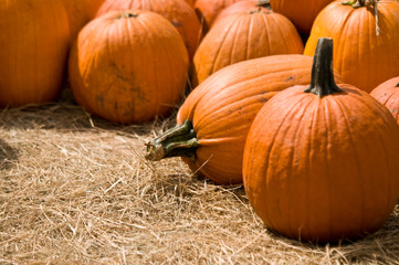 pumpkins on ground with hay