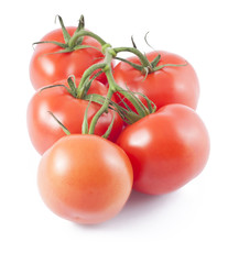 Ripe tomatoes on branch