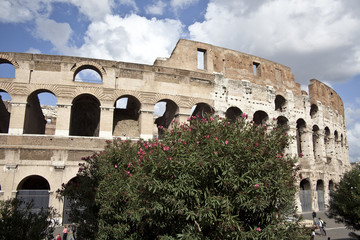 veduta del Colosseo