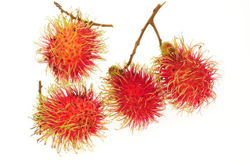 Tropical Fruit, Rambutan On White background