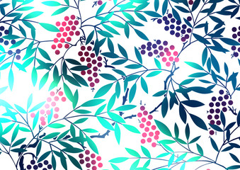 グラフィックプランツ