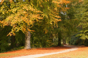 Herbstlandschaft