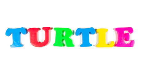turtle written in fridge magnets