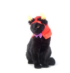 Black cat with devil horns