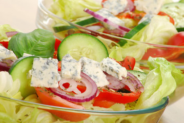 Vegetable salad with cheese