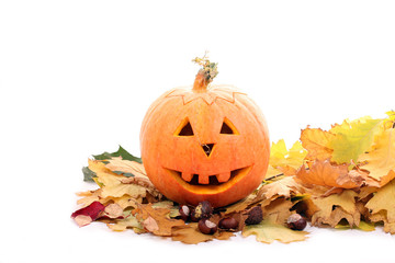 Halloween Pumpkin on Autumn Leaves