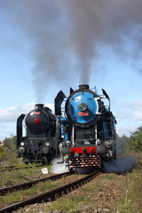 steam locomotive called Parrot 477.043 and steam locomotive 464.