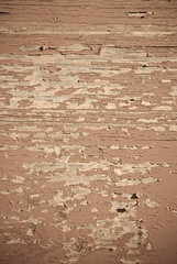 Old wood texture
