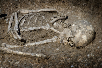 Burial grave archeology ancient skeleton