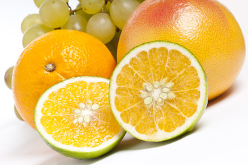 fruits on white background