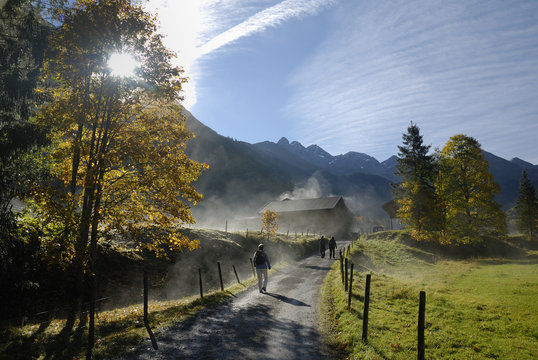 Morgennebel in Ein&ouml;dsbach bei Oberstdorf im Allg&auml;u