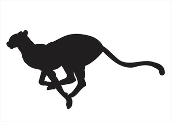 Cheetah Silhouette