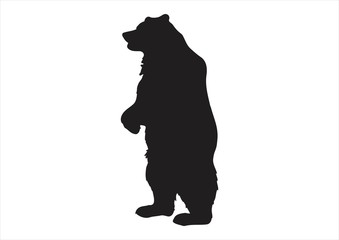 bear shilouette