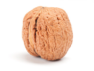walnut on white background